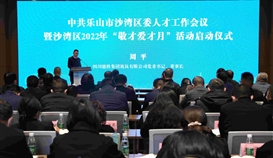 以高質(zhì)量人才保障助推企業(yè)高質(zhì)量發(fā)展，周平董事長參加區(qū)委人才工作會并發(fā)言